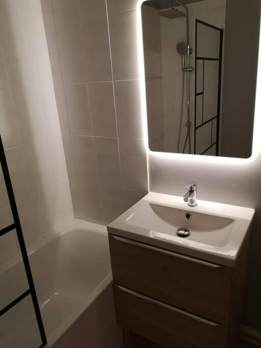 Appartement Centre Avec Balcon Parking Prive Орлеан Экстерьер фото